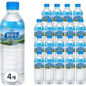 가야산천년수 생수, 500ml, 80개