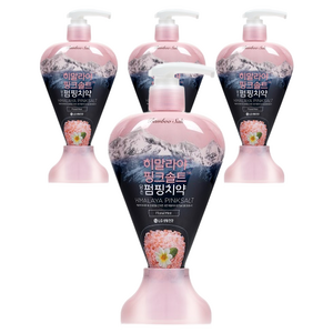 히말라야핑크솔트 담은 펌핑치약 플로럴, 285g, 4개