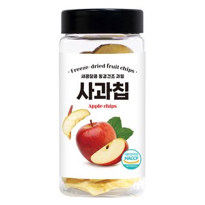 동결건조 사과칩, 1개, 55g