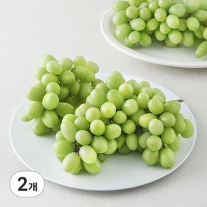 칠레 청포도, 1.8kg, 2개