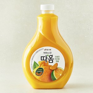 따옴 천혜향 한라봉 청귤, 1.6L, 1개