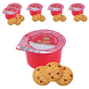 다네시타 댄케이크 초콜릿칩 쿠키 싱글서브
