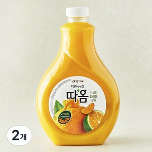 따옴 천혜향 한라봉 청귤, 1.6L, 2개