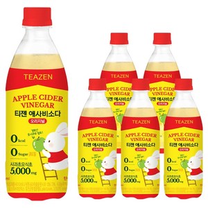 티젠 애사비소다 오리지널, 500ml, 6개