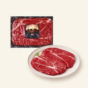 미국산 프라임 등심 구이용 (냉장), 500g, 1개