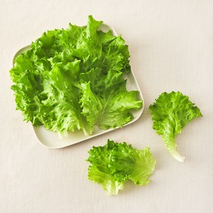 그린래빗 무농약 인증 카이피라, 100g, 1개