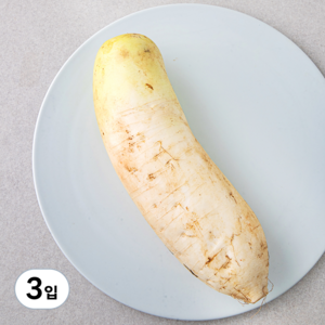 작아도 맛있는 무