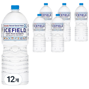 아이스필드 캐나다 빙하수 2L, 2L, 12개