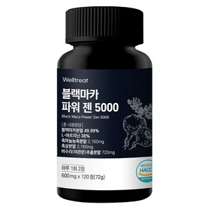 웰트릿 블랙마카 파워젠5000 72g 600ml, 1개