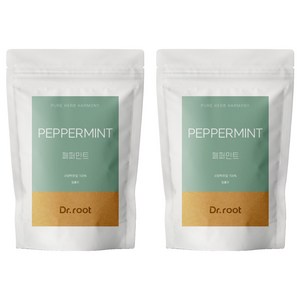닥터루트 페퍼민트 삼각티백