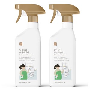 쉼표365 깔끔말끔 대용량 욕실세정제, 2개, 750ml