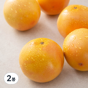 곰곰 미국산 자몽, 2kg, 2개