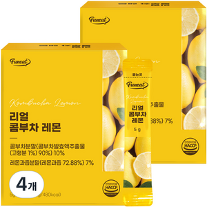 퍼니트 리얼 콤부차 30포, 4개, 150g