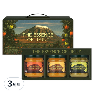 담터 제주 액상차 3종 선물세트, 한라봉청 300g ..., 3세트