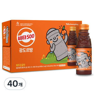 비타500 광도르방 비타민음료, 100ml, 40개