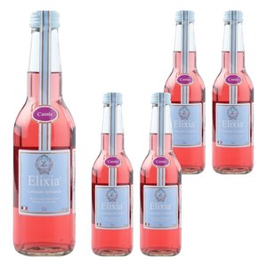 엘릭시아 블랙커런트맛 탄산음료, 330ml, 5개