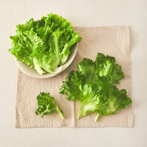 그린래빗 무농약 인증 유러피안 더블믹스 샐러드, 100g, 1개
