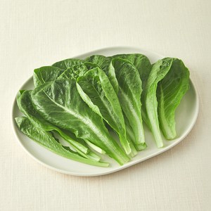 그린래빗 무농약 인증 유러피안 미니로메인 샐러드, 100g, 1개