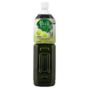 파낙스 참다음 매실, 1.5L, 1개