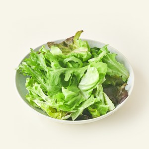 팜에이트 친환경 인증 유러피안 샐러드, 300g, 1개