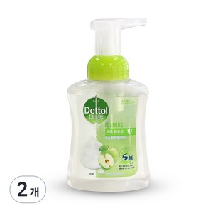 데톨 포밍항균 핸드워시 애플블로썸 본품, 250ml, 2개