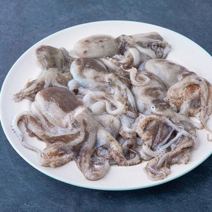 어부심 서해안 산지직송 자연산 햇 알배기 주꾸미 (냉장), 500g, 1개