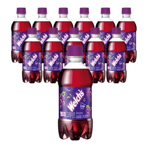 웰치스 포도, 300ml, 12개