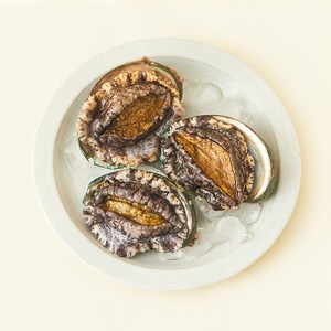 아라보감 완도 산지직송 전복 (냉장), 420g 내외(왕특..., 1개