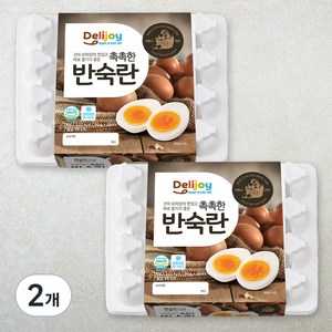 딜리조이 촉촉한 반숙란, 20구, 2개