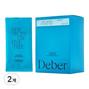디베르 퍼퓸 건조기 시트 섬유유연제 화이트 머스크 본품, 2개, 40매