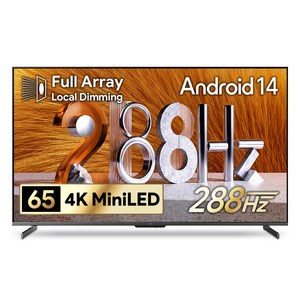 더함 4K UHD Mini LED TV, 165cm(65인치), 스마트 TV, 벽걸이형, 방문설치