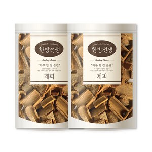 한방선생 사각 계피 특품, 600g, 2개, 1개입