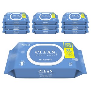 탐사 깨끗 비데티슈 32% 더 커진 특대 XL 사이즈 캡형, 40매, 60g, 10팩