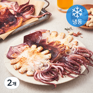구룡포 반건조 오징어 5미 (냉동), 850g, 2개