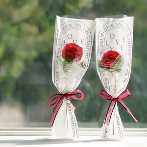 아스파시아 비누꽃 클레오 퐁퐁 카네이션 한 송이 꽃다발 2종 + 메세지픽 2p + 쇼핑백 2p 세트, 레드 + 레드, 1개