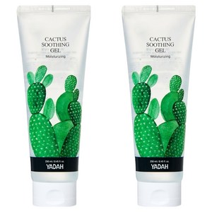야다 선인장수딩젤, 250ml, 2개