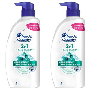 헤드앤숄더 두피 토탈 솔루션 2in1 가려운 두피케어 컨디셔너 겸용 샴푸, 800ml, 2개
