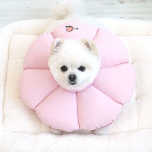 패리스독 반려동물 넥카라쿠션 깔대기 꿀잠카라 핑크 XL, 1개