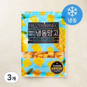딜라잇가든 망고 (냉동), 1kg, 3봉