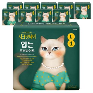 시크릿데이 입는 오버나이트 팬티형
