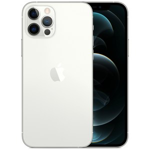 Apple 아이폰 12 Pro 자급제, 실버, 256GB