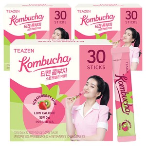 티젠 콤부차 스트로베리키위