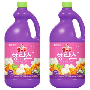 홈스타 향 락스, 2L, 2개