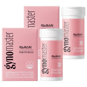 마스터바이옴 지노 마스터, 28정, 2개