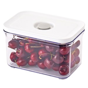 바퀜 마하 베이직 밀폐용기 1.0L