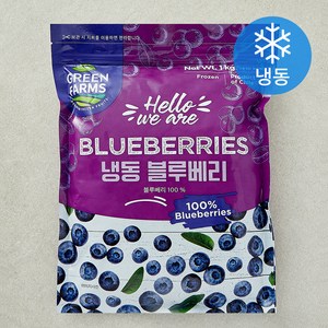 그린팜 칠레산 블루베리 (냉동)
