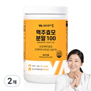 비타민마을 맥주효모 분말가루, 500g, 2개