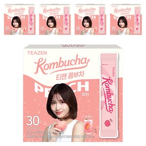 티젠 콤부차 피치