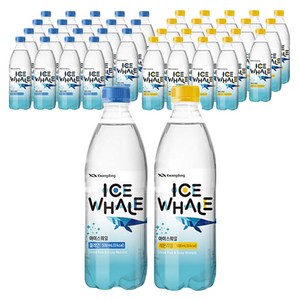 광동제약 아이스웨일 플레인 제로 탄산수 500ml 20p + 레몬라임 탄산수 500ml 20p