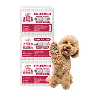 제이엠코코 프리미엄 배변패드 29g, 45 x 60 cm, 100개입, 3개